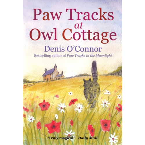 Little, Brown Book Group Paw Tracks at Owl Cottage (häftad, eng)