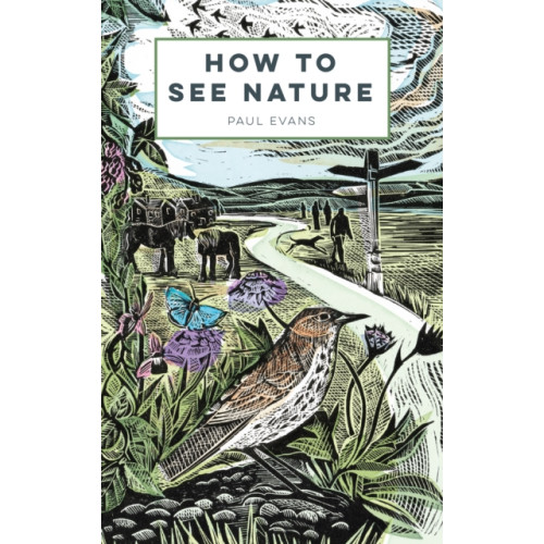 Batsford Ltd How to See Nature (häftad, eng)