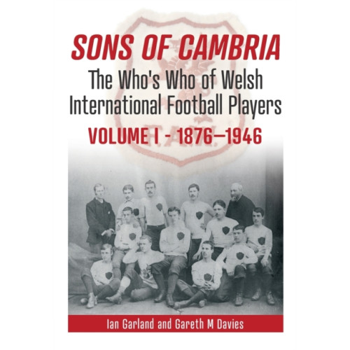 St David's Press Sons of Cambria (häftad, eng)