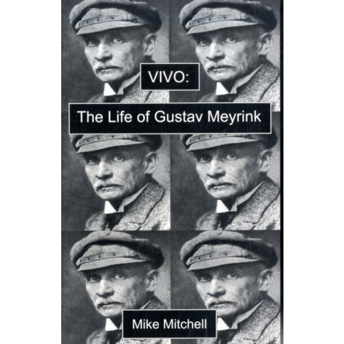 Dedalus Ltd Vivo: the Life of Gustav Meyrink (häftad, eng)