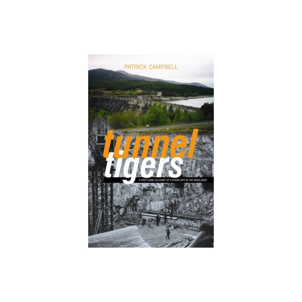 Produktbild för Tunnel Tigers (häftad, eng)