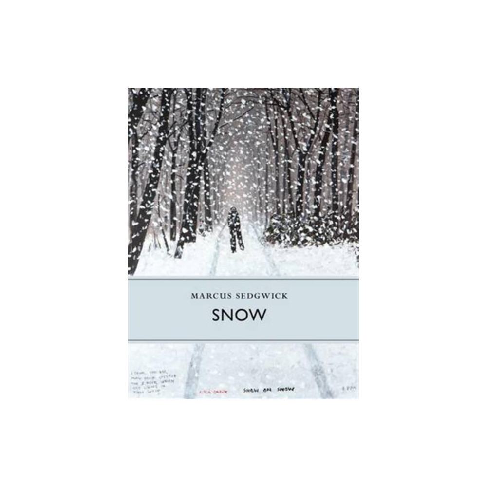 Produktbild för Snow (inbunden, eng)