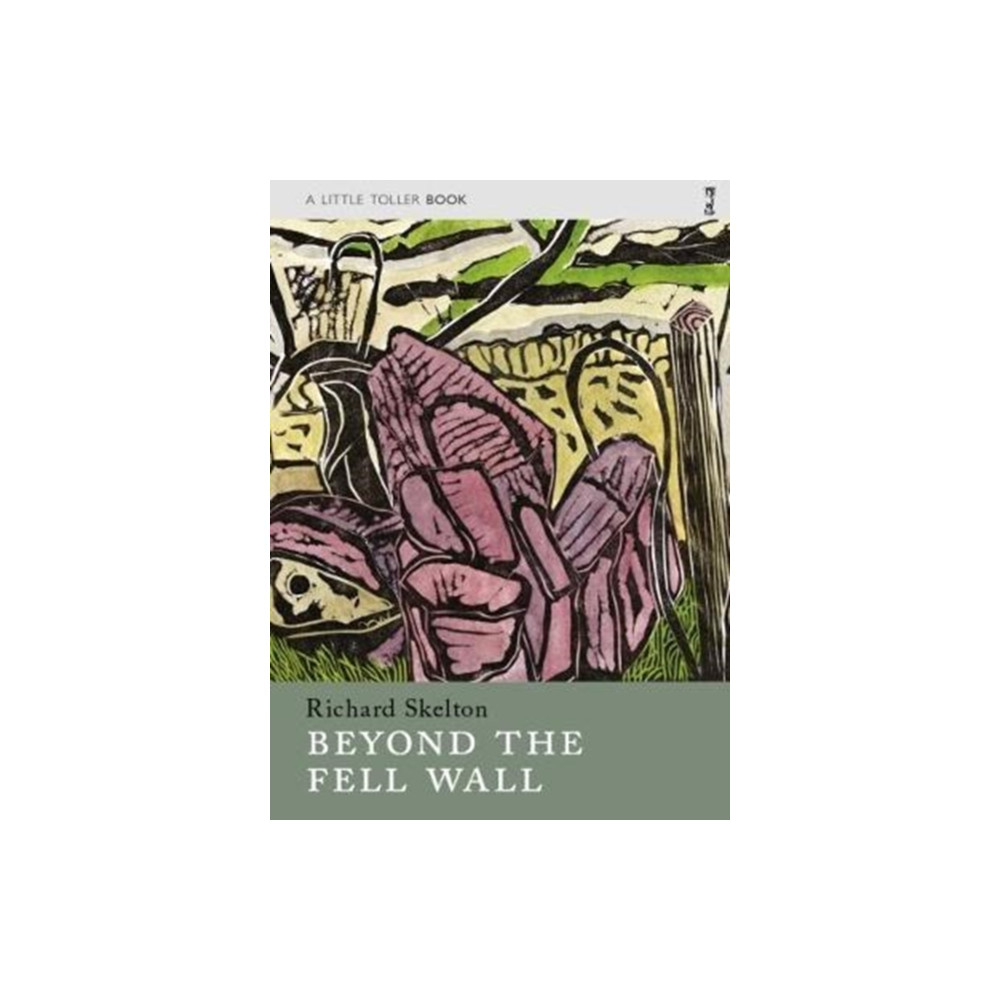 Produktbild för Beyond the Fell Wall (häftad, eng)