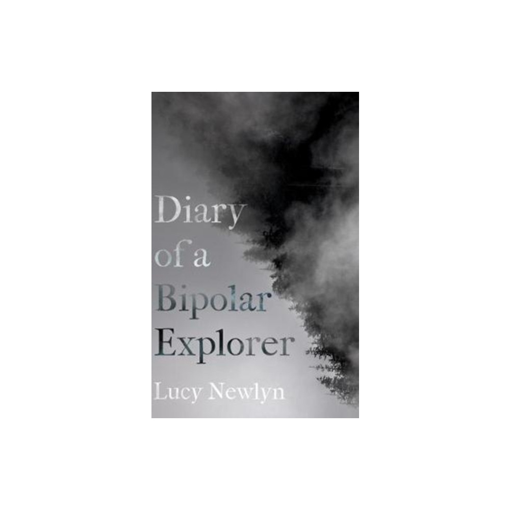 Produktbild för Diary of a Bipolar Explorer (häftad, eng)