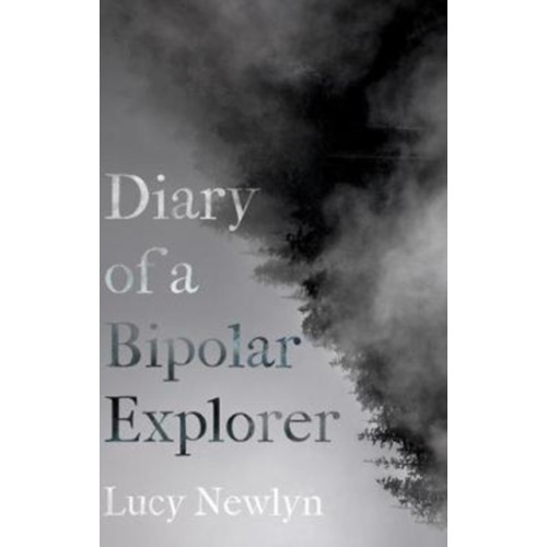 Andrews UK Limited Diary of a Bipolar Explorer (häftad, eng)