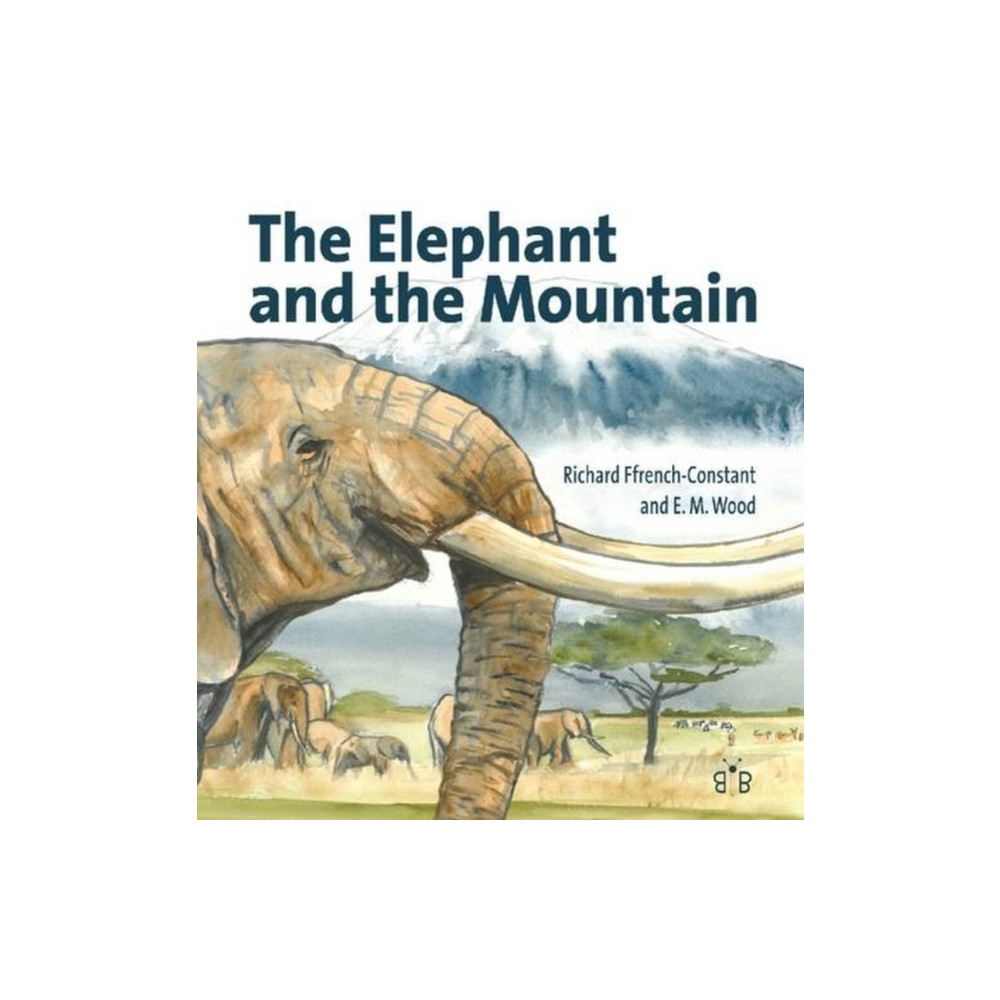 Produktbild för The Elephant and the Mountain (inbunden, eng)