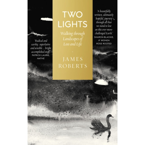 September Publishing Two Lights (inbunden, eng)