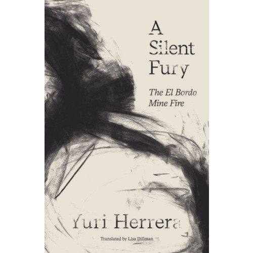And Other Stories A Silent Fury (häftad, eng)