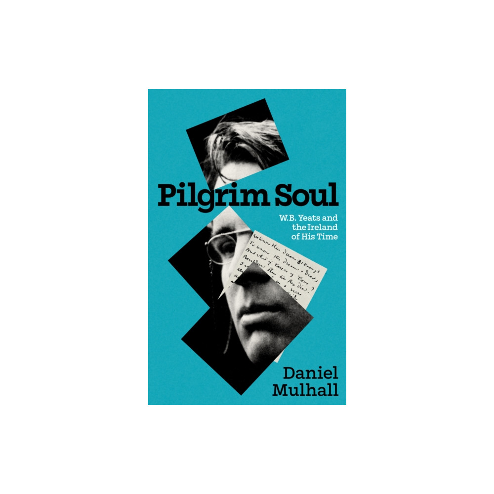 Produktbild för Pilgrim Soul (häftad, eng)