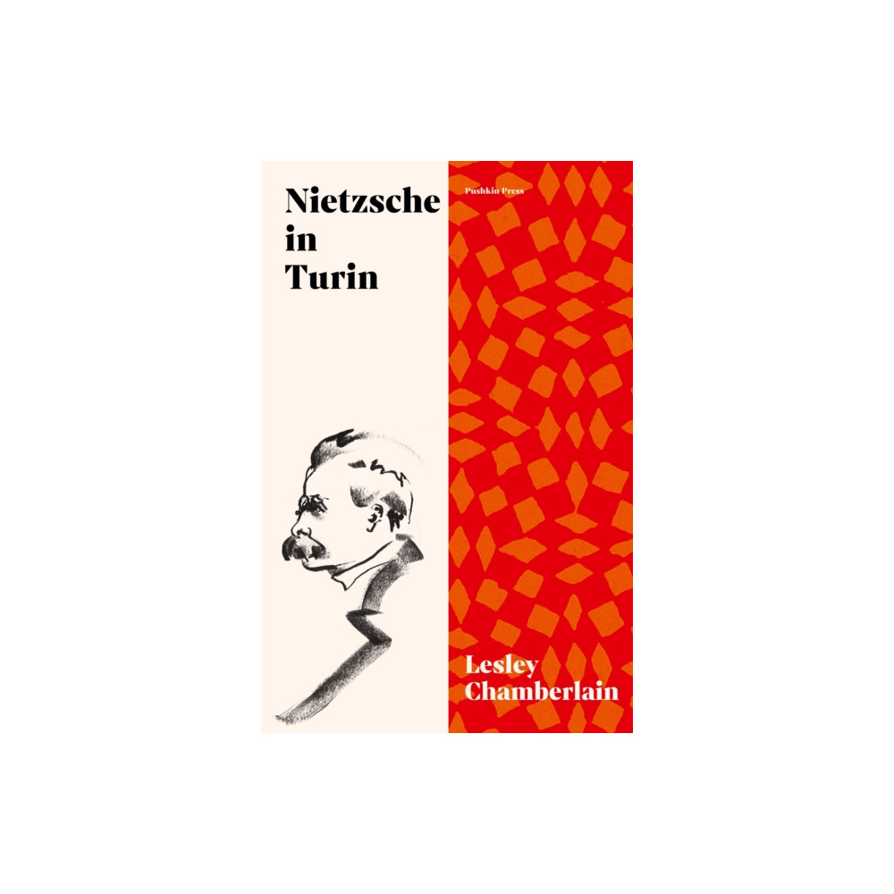Produktbild för Nietzsche in Turin (häftad, eng)