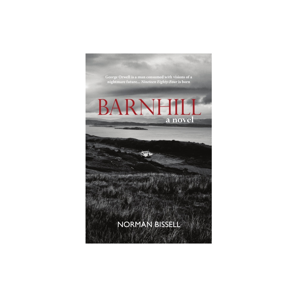 Produktbild för Barnhill (häftad, eng)