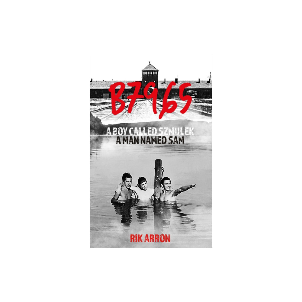 Produktbild för B7965 (häftad, eng)