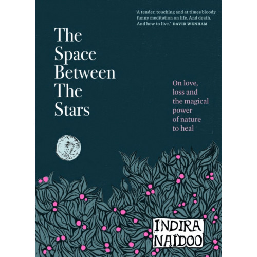 Murdoch Books The Space Between the Stars (inbunden, eng)