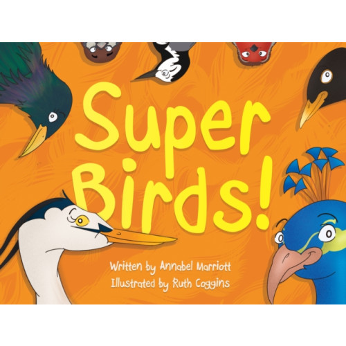 The Book Guild Ltd Super Birds! (häftad, eng)