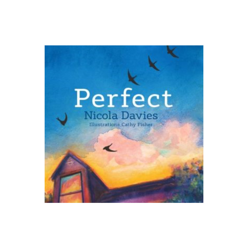 Produktbild för Perfect (inbunden, eng)