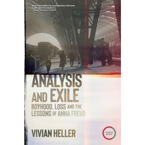 Analysis and Exile , Karnac Books (häftad, english)