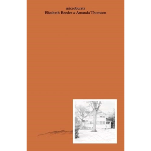 Prototype Publishing Ltd. Microbursts (häftad, eng)