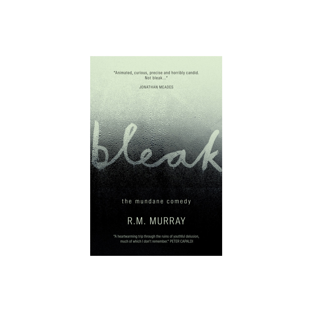 Produktbild för Bleak (häftad, eng)