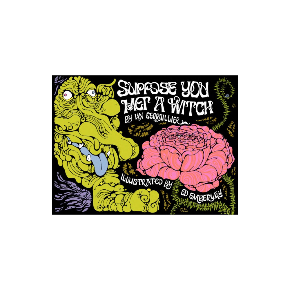 Produktbild för Suppose You Met a Witch (inbunden, eng)
