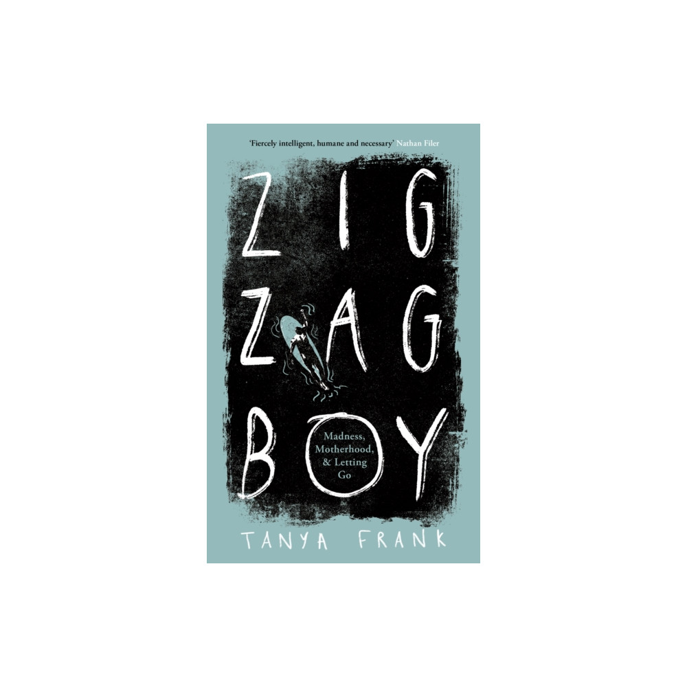 Produktbild för Zig-Zag Boy (inbunden, eng)