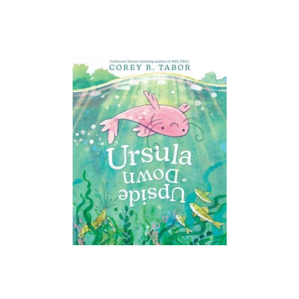 Produktbild för Ursula Upside Down (inbunden, eng)