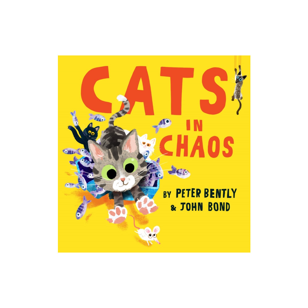 Produktbild för Cats in Chaos (häftad, eng)