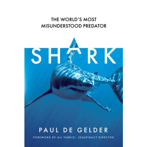 HarperCollins Publishers Shark (häftad, eng)