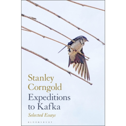 Bloomsbury Publishing USA Expeditions to Kafka (inbunden, eng)