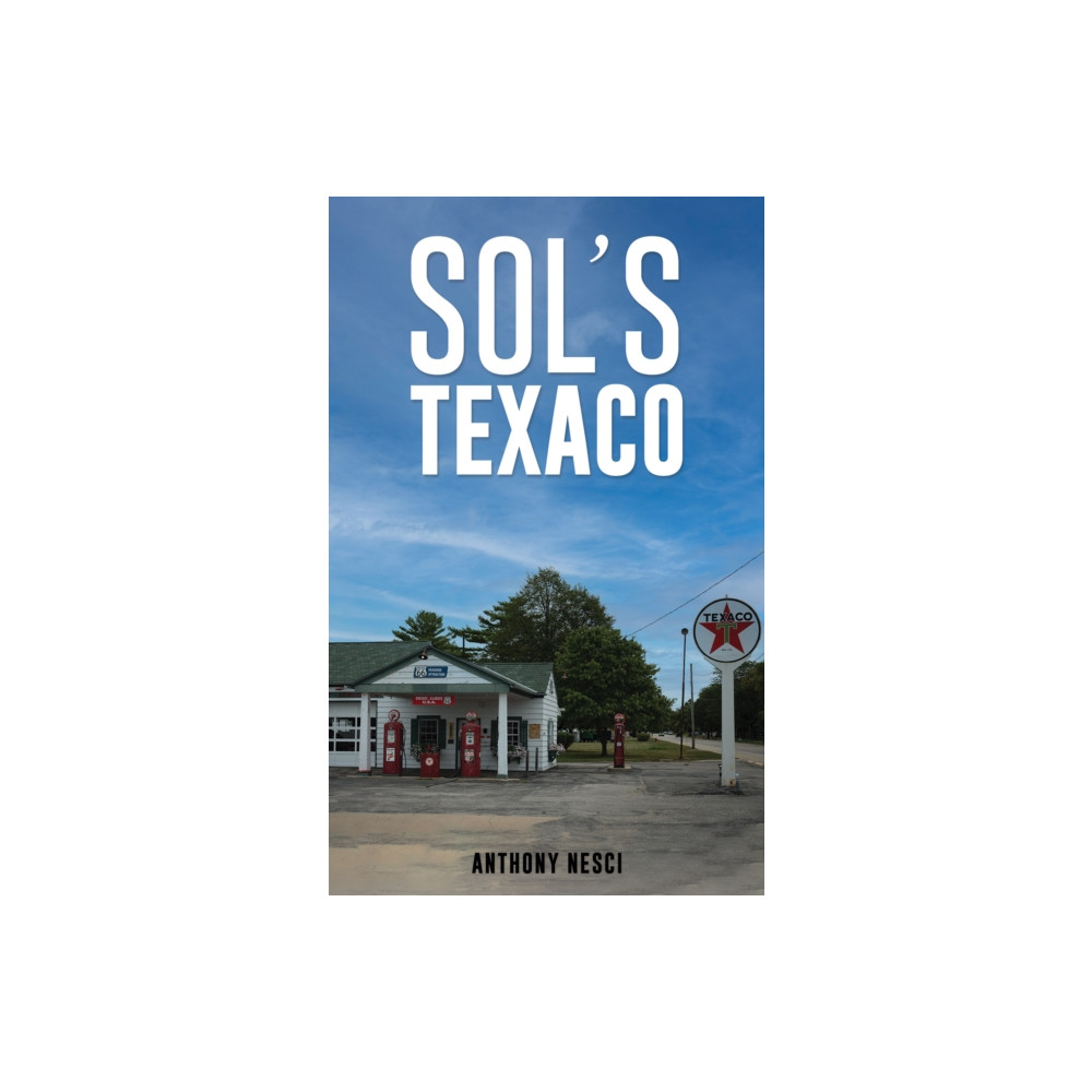 Produktbild för Sol’s Texaco (häftad, eng)