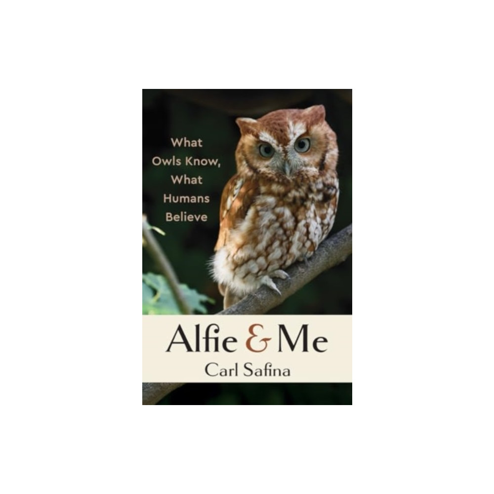 Produktbild för Alfie and Me (häftad, eng)