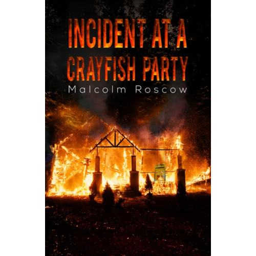 Austin Macauley Publishers Incident at a Crayfish Party (häftad, eng)