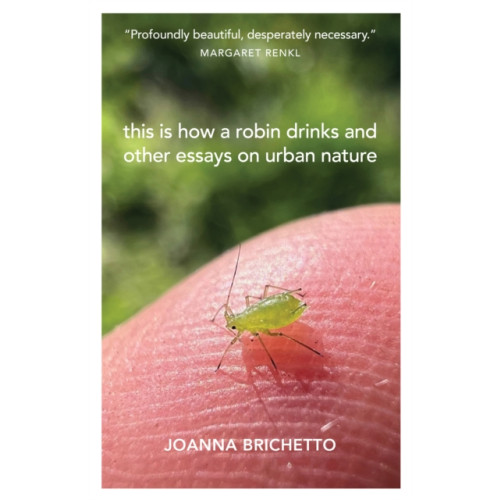 Trinity University Press,U.S. This Is How a Robin Drinks (häftad, eng)