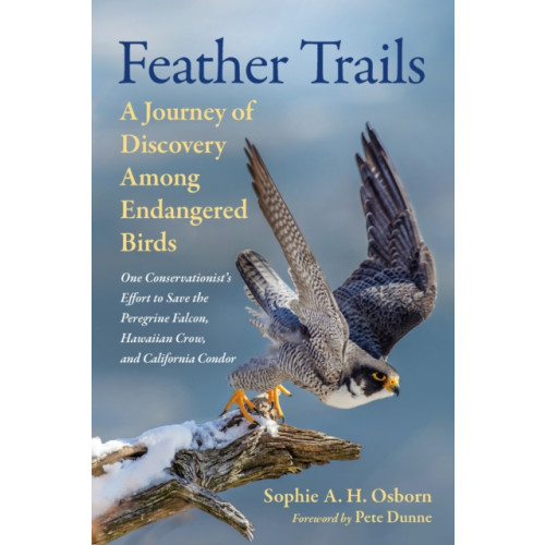 Chelsea Green Publishing Co Feather Trails (inbunden, eng)