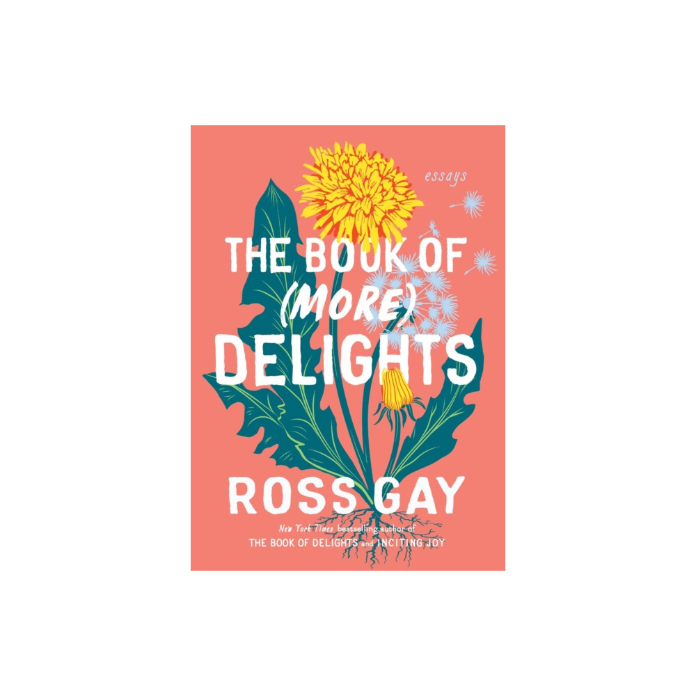 Produktbild för The Book of (More) Delights (häftad, eng)