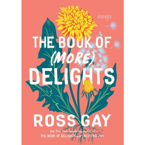 Workman Publishing The Book of (More) Delights (häftad, eng)