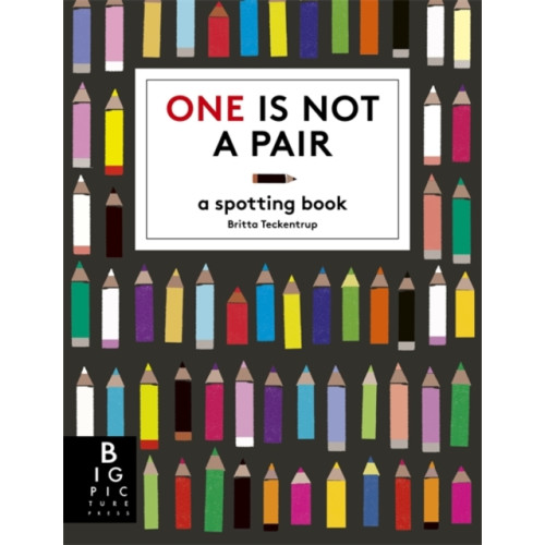 Bonnier Books Ltd One is Not a Pair (häftad, eng)