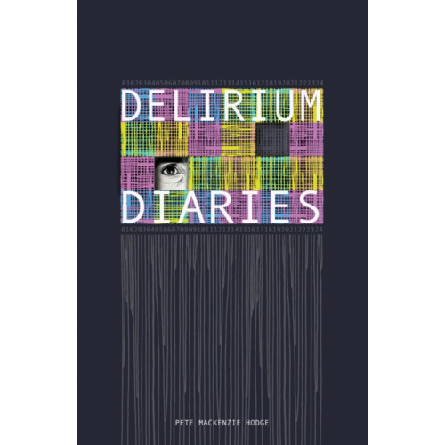 The Book Guild Ltd Delirium Diaries (häftad, eng)