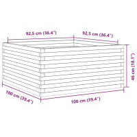 Produktbild för Odlingslåda vit 100x100x46 cm massiv furu