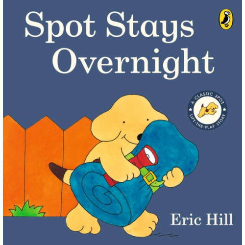 Penguin Random House Children's UK Spot Stays Overnight (bok, board book, eng)