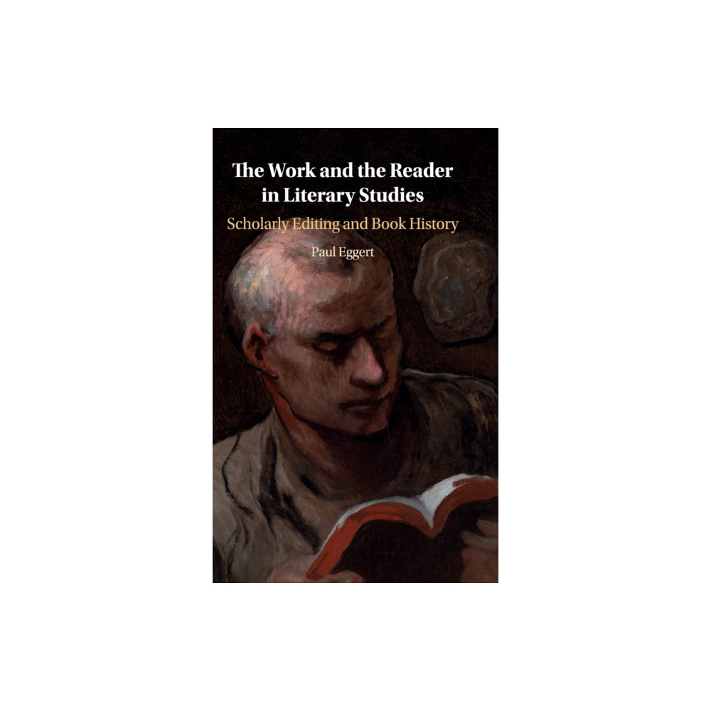 Produktbild för The Work and the Reader in Literary Studies (inbunden, eng)