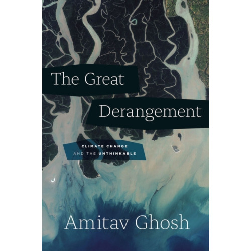 The university of chicago press The Great Derangement (häftad, eng)