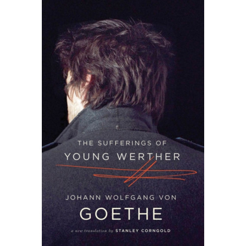 WW Norton & Co The Sufferings of Young Werther (häftad, eng)