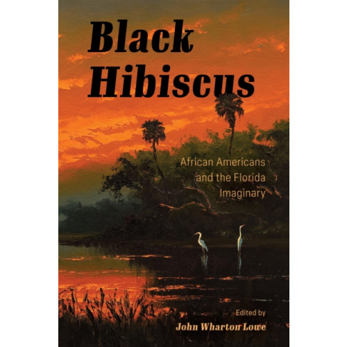 University Press of Mississippi Black Hibiscus (häftad, eng)