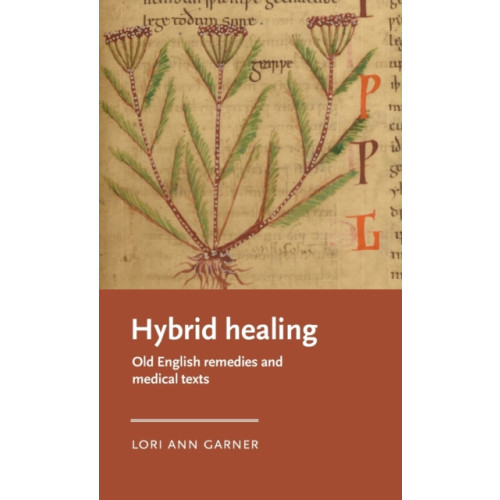 Manchester university press Hybrid Healing (inbunden, eng)