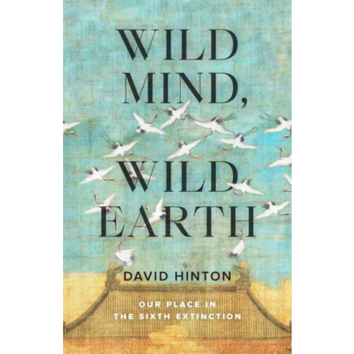 Shambhala Publications Inc Wild Mind, Wild Earth (häftad, eng)