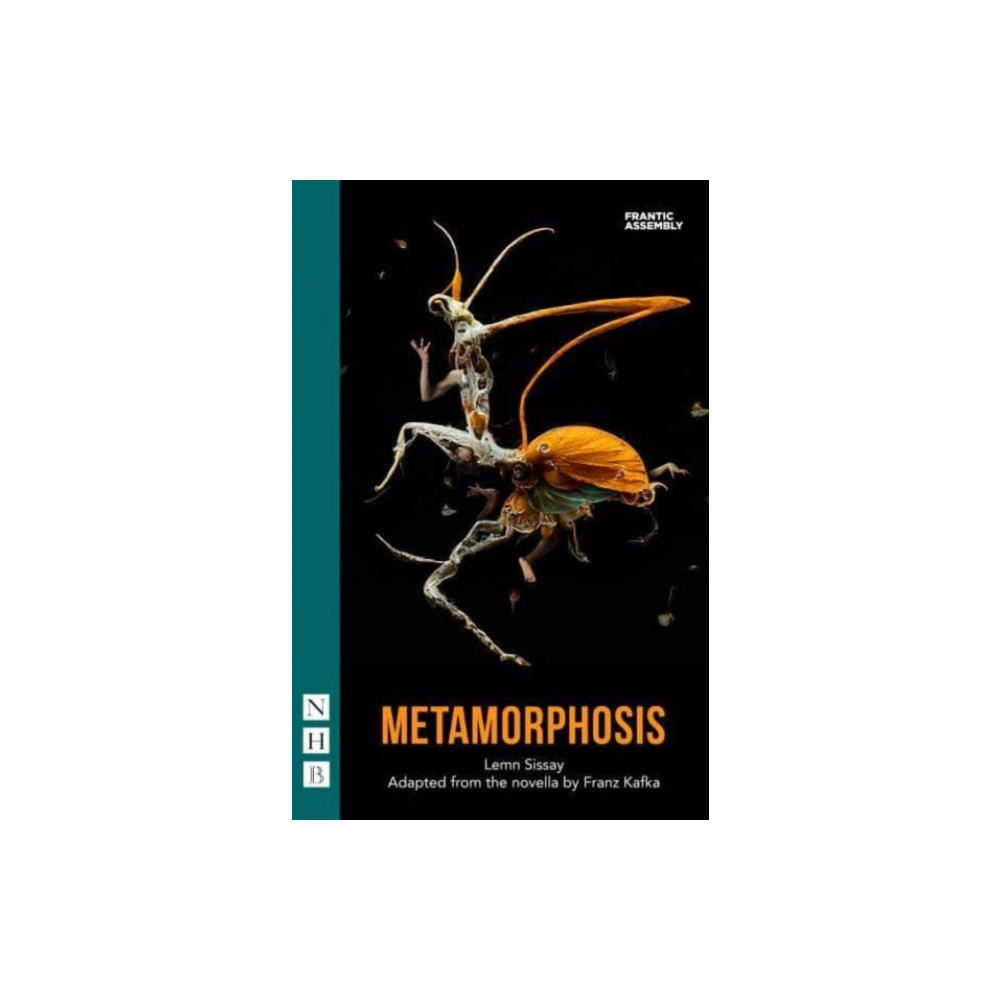 Produktbild för Metamorphosis (häftad, eng)