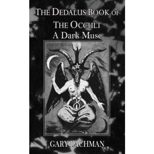 Dedalus Ltd Dedalus Book of the Occult: A Dark Muse (häftad, eng)