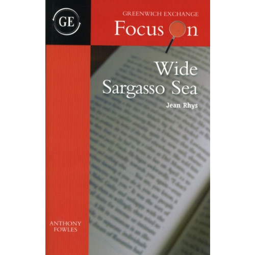 Greenwich Exchange Ltd Wide Sargasso Sea by Jean Rhys (häftad, eng)