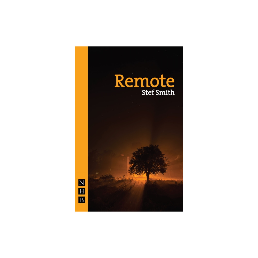 Produktbild för Remote (häftad, eng)