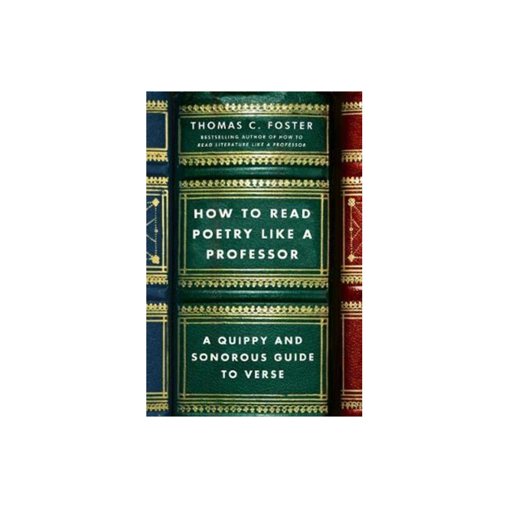 Produktbild för How to Read Poetry Like a Professor (häftad, eng)